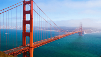 329 san francisco wallpaper