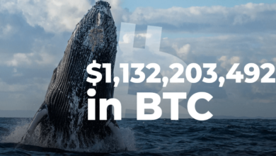 Several Miami Bitcoinpardeswired