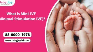 Minimal Stimulation IVF