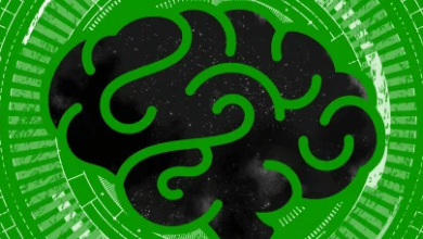 Accel 23m Series Sozo Venturesmascarenhastechcrunch