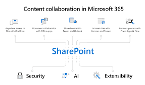 Document Collaboration with Microsoft 365