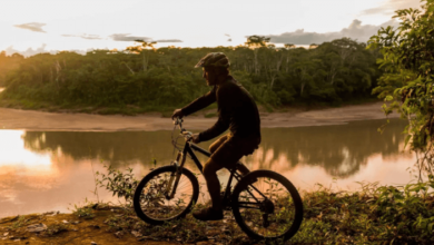 Tour Privado En Bicicleta De Montaña a Orillas Del Río Simeto