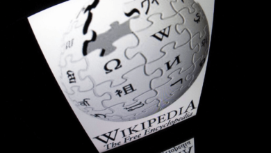 The Authority Wikipediahaiderbloomberg