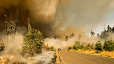 Watch Duty Californiaashworthwired