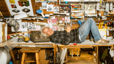 Profile Cliff Cuckoo Egggreenbergwired