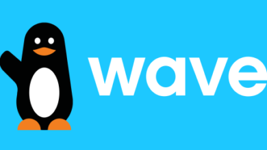 Profile Senegalbased Wave Francophone