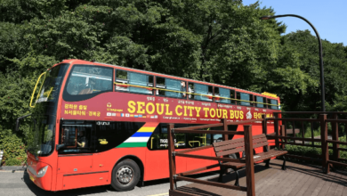 Corso Panoramico Di Autobus Della Città Di Seoul E Funivia Rotonda Di Namsan