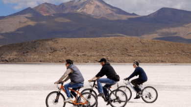 unich Super Saver Tour in Bici Più Tour Gastronomico Bavarese a Piedi