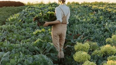 Copenhagenbased Agreena Ai Series Hv 20m