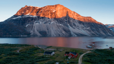 Qooqqut Catch & Eat Il Ristorante Nel Fiordo Carta Privata