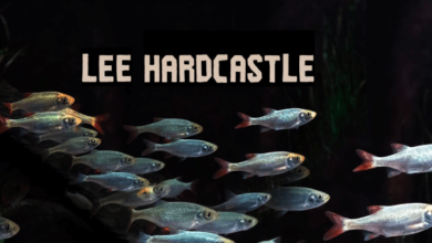 Hq Vrlyons Hardcastle Theregister