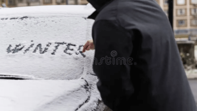 Anger Hatred Nguyen Duy Tri • Wait for Winter • 2022