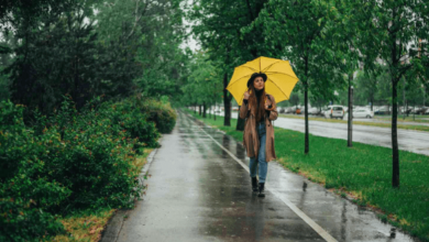 Buoc Chan Lang Tham Nguyen Si Kha • Rainy Day Memories • 2023