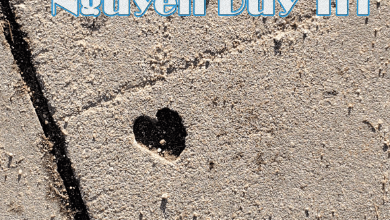 Greek Mind Nguyen Duy Tri • Acid Madness • 2023