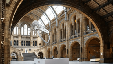 History of Hall Nguyen Duy Tri • Acid Madness • 2023