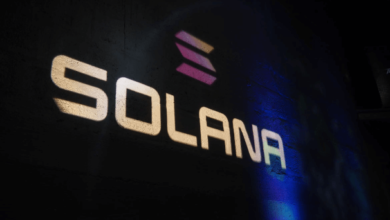 Solend Labs Solana Solnelsoncoindesk