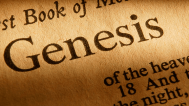 xbmchelper.squarespace.com genesis