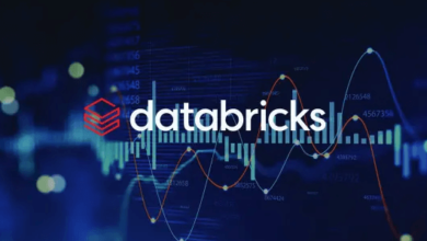 Sources Databricks 900m