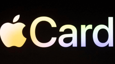 Sources Sachs Apple Lacapra Theinformation