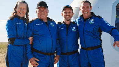 Lebron William Shatner Seinfeld Alexander Bluesilberlingtechcrunch