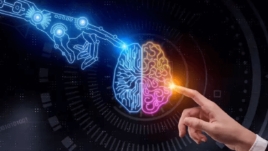 3491488558, 8465789145, 7135684293, 7174848177, and 8282143904