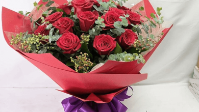 3760483302, 3339023209, 3427775995, 3501792487, and 282900014