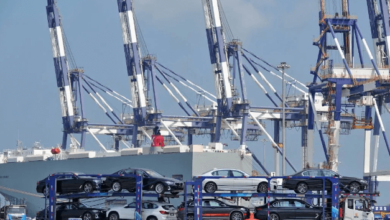 5162188844, 7578955681, 9253154314, 9195947110, and 4179421693