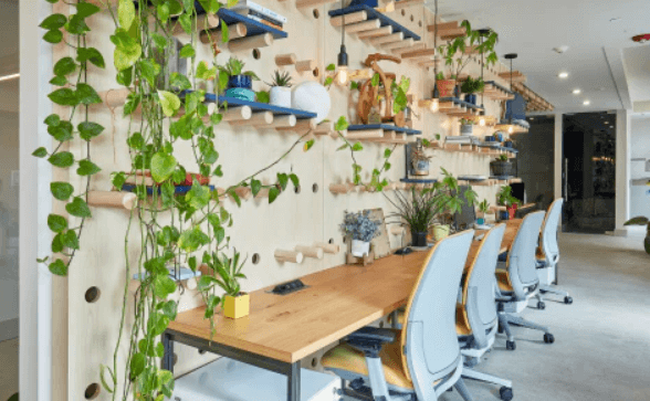 Why Your Office Space Should Have Live Plants!
