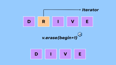 Std::Vector::Erase