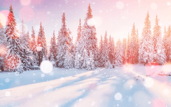 Beautiful:_Zbeu8sfqms= Winter Background