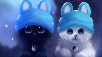 Desktop:8ewkfwkle04= Blackpink Wallpaper