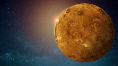 Inside:4pmxmmyhoga= Venus