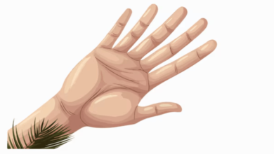 Hand:J-B5jgi3vqk= Palm