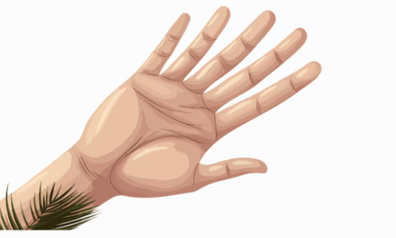 Hand:J-B5jgi3vqk= Palm