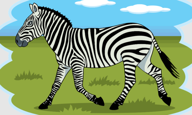 Clipart:Qkzoanv2hvm= Zebra