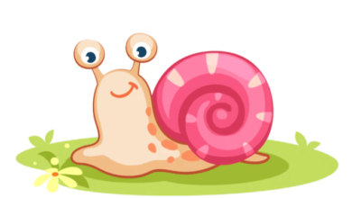 Cute:6n-4glwzjje= Slug