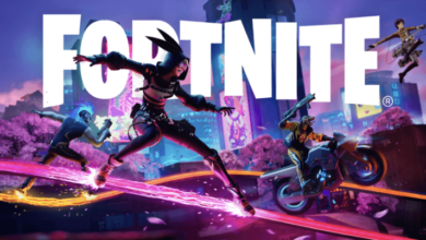 Game:4zt8eannkja= Fortnite