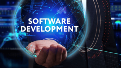 Software Development