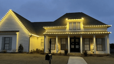 Christmas Light Installation