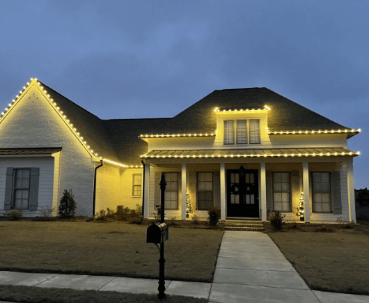 Christmas Light Installation