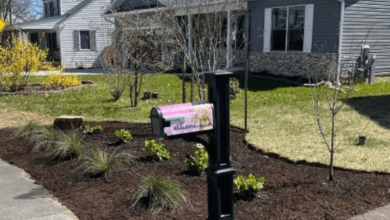 Innovative Landscaping Solutions for Odenton Homes by S&D Outdoor Solutions