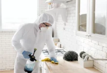 Why Professional Mould Remediation is Essential in Melbourne Homes