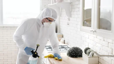 Why Professional Mould Remediation is Essential in Melbourne Homes