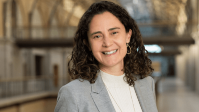 Laela Sturdy Alphabet Ai Stripeloizostechcrunch