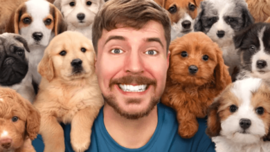 How Mrbeast Youtubehernandezpolygon