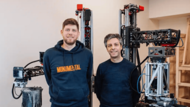 Amsterdambased Monumental 25M Plural Hummingbirdemir Interestingengineering