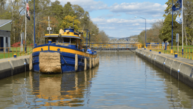 Hd 18.6m New Yorktimes