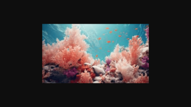 How Ai Ceruleanai Coral Foundation Theverge