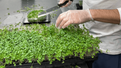 India 15.2b India Tata Group