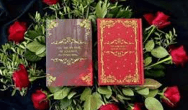 Inkitt Galatea 37M Serieslundentechcrunch